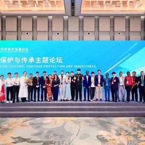 2025年世界青年发展论坛：文化遗产保护与传承主题论坛举行