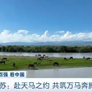 赴天马之约！走进新疆昭苏，一睹万马踏浪奔腾盛景→