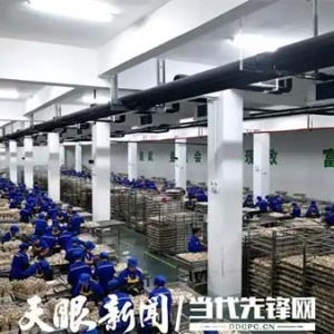 道真：山海携手共谱产业发展协作曲