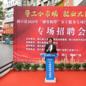 洞口县举办2025年湘零湘伴零工服务专项行动启动仪式暨专场招聘会