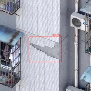 强化AI赋能 抓实街带网格 两江新区人和街道在数字重庆建设推进会分享基层智治实战经验