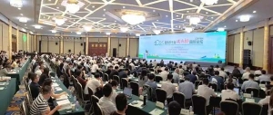 共促低碳转型，2025建材行业碳减排国际论坛举行