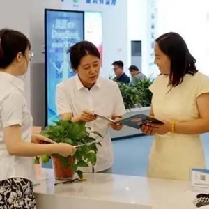 “10证同发”半天办结！青岛西海岸新区项目审批跑出加速度