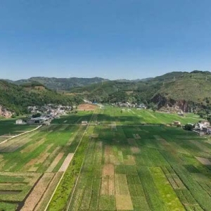 威宁：以“特”为笔 以“链”为墨 汇聚产业高质量发展动能