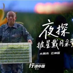 行进中国｜“花”式产业绽放沃野