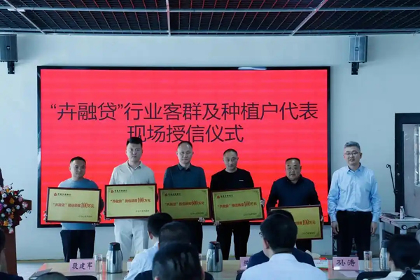 金融助力，乡村特色做成了大产业