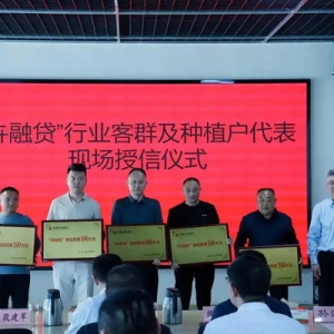 金融助力，乡村特色做成了大产业