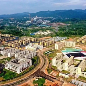 大龙开发区：以开放之姿，筑产业集聚新高地