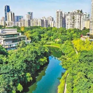 重庆两江新区：城市“暗河”蝶变“生态客厅”