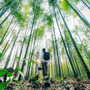 天然疗愈场！“山地公园省”迈向康养高地