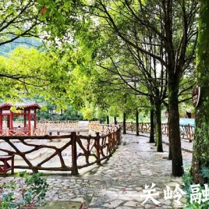 关岭自治县石板井村：康养民宿第二批投建计划启动
