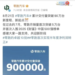 交付量破90万，零跑汽车押注“资本棋局”求突围