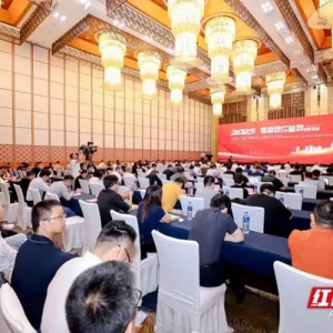 2025音视频产业链发展研讨暨对接会在长沙举办