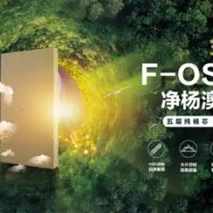 澳思柏恩板材新品上市，引领家居美学新潮流