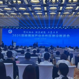2025海峡两岸产业合作区建设推进会开幕