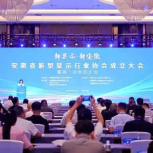 安徽成立新型显示行业协会 产业规模将达2000亿元