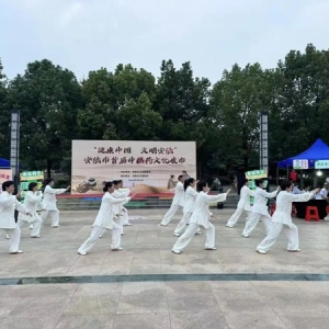 首届“健康中国 文明安陆”中医药文化夜市开启