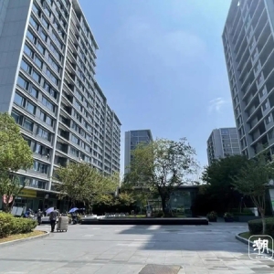 杭州首批限售盘即将解禁，5年过后，二手房行情天差地别