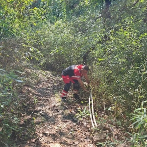西湖景区的山林守护者：与日出同行，比导航更懂西湖的山