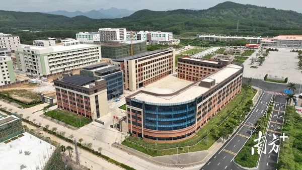 从零散到集聚，饶平何以吸引“甜蜜”落地？