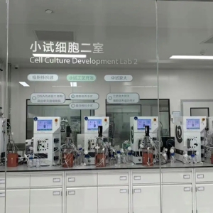 冠军制造 工赋山东｜聚焦医药前沿！齐鲁制药以新质生产力赋能企业发展