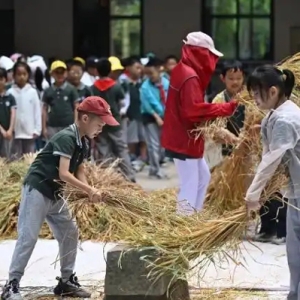 重庆两江新区童心青禾小学劳动实践课