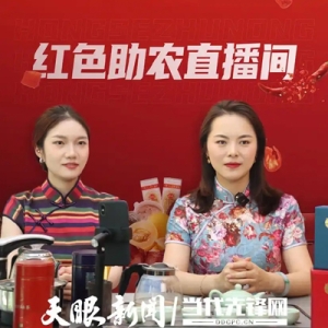 电商繁荣 算力升级 应用场景多元——遵义市新蒲新区数字经济蓬勃发展，硬核数据刷新认知