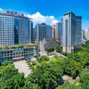 国家精神疾病区域医疗中心落地重庆