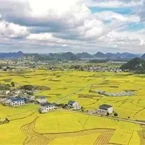贵安新区奏响丰收曲