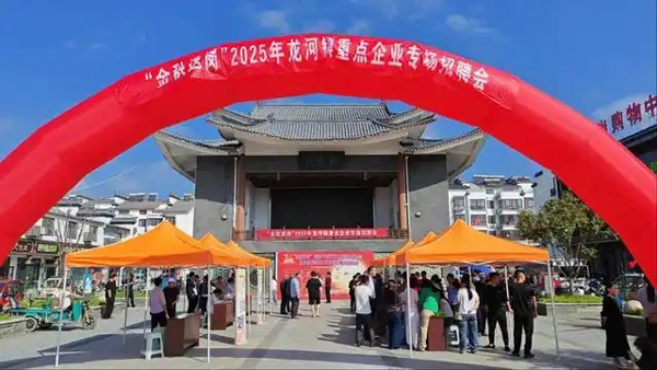 宿城区龙河镇：岗位送到“家门口” 就业服务“零距离”