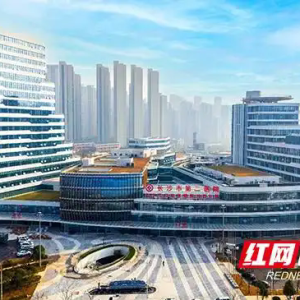 提速加力！湘江新区多个硬核项目“上新”