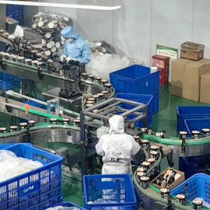 思南：向新逐绿集聚产业动能