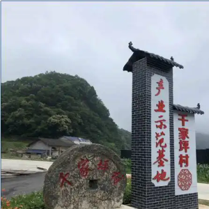 打造产业发展新样板 绘就乡村振兴新蓝图