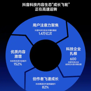 政策赋能，海南助力企业重塑数字文化产业生态