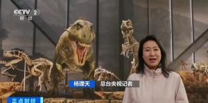 浙江德清人工智能虚拟影视基地助力导演加速“造梦”