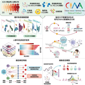 AI医疗下半场：从“算法创新”迈向“基建革命”