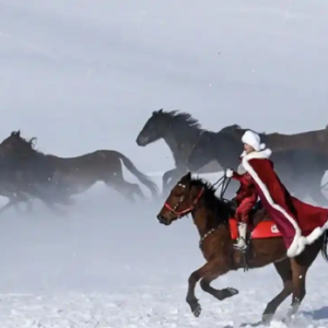 贺娇龙不幸离世，挚友哽咽回忆：我们相识于我最艰难的时候