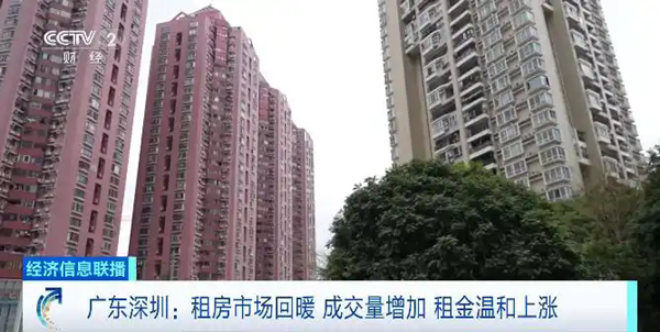 深圳租房市场节后回暖 成交量增加