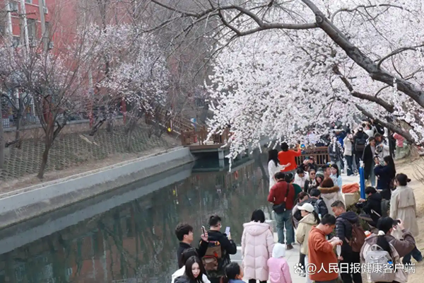 看美景、疏肝气、养气血，中医：这是全年养生的黄金期