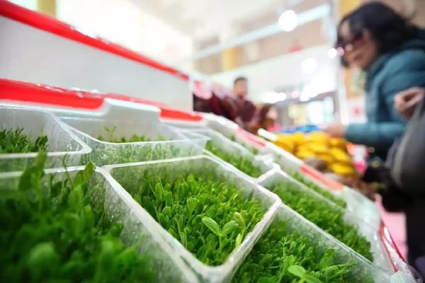 烟火气里话养生，京城春季养生博览会启幕