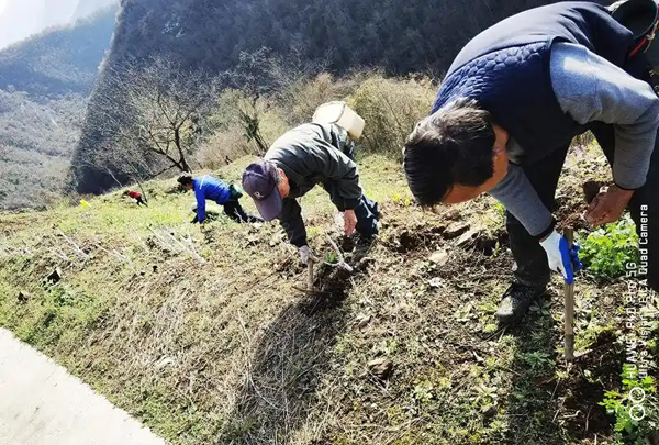 产业发展“丝”路宽