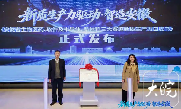 安徽发布三大新兴产业赛道新质生产力发展白皮书